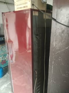 Pel fridge for sale