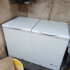 Haier D freezer