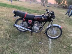 HONDA 125 2024