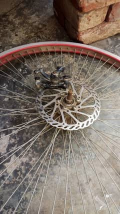 bicycle front rim read ad
