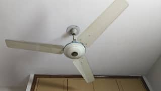 GFC Ceiling Fan