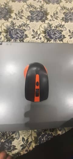 MOUSE