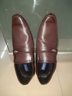 Brown Color Office shoes ( Price Negotiable)