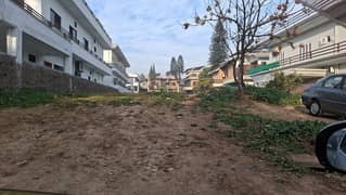 Buying A Residential Plot In F-11/1 Islamabad?