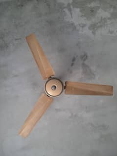 Yunas Fan old Model Full Size