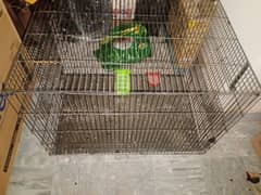 Raw parrot cage for sale breeding cage hai urgent sale