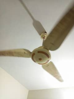 Karam DC invertor Fan