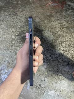 Iphone 13 pro max pta approved