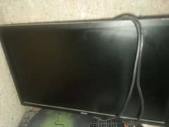 Acer