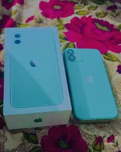 iPhone 11 non pta with box