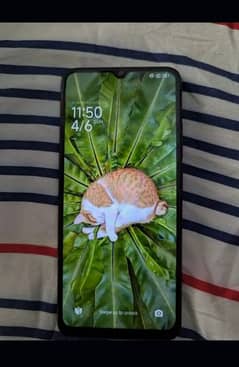 redmi c12 4 128