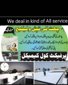 Roof Waterproofing, Roof Heat Proofing,Water tank cleaning Leakage,