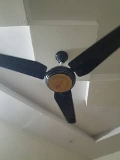 Fan with cioper weinding