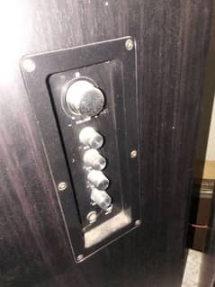 audionic