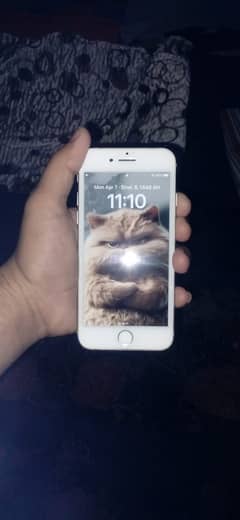i phone 8