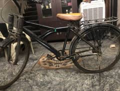 best cycle
