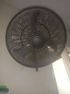 pedestal fans