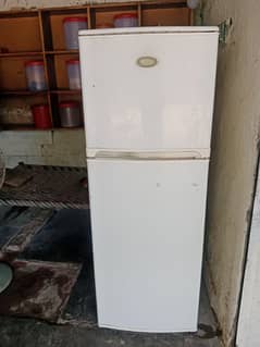 Sharp refrigerator