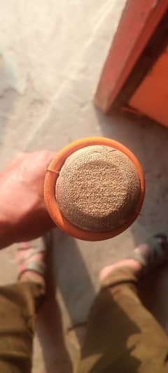 srilankan coconut bet