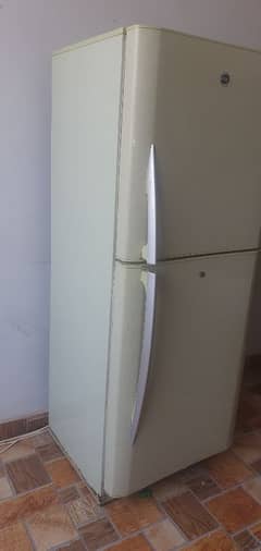 pel fridge