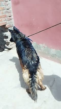 cunfarm