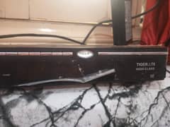 Tiger T 8 High class