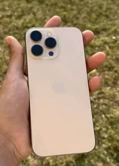 16promax pta approved 256 gb desert taitinum
