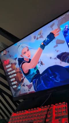 Gigabyte