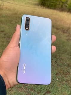 vivo
