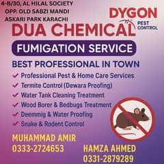Pest Control in Karachi  Termite Control Karachi (Deemak Control)  Fum