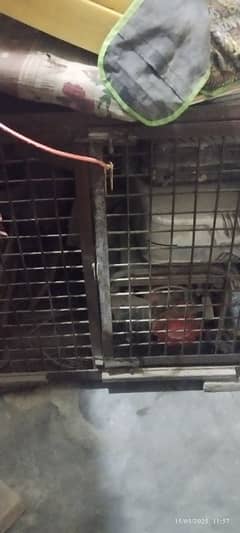 Heavy duty Iron Cage (Pinjra) for Hens, Birds & Animals.