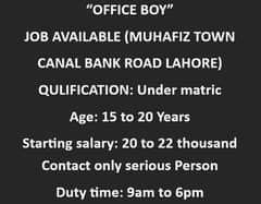Office Boy