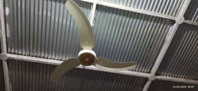 fan for sale
