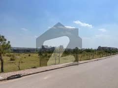 Main Pine Avenue 4 Kanal Farmhouse Plot For Sale