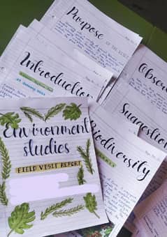 content writing