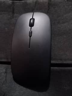 mouse