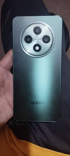 Oppo Reno 12 5G Warranty Phone