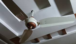 ROYAL USED CEILING FAN
