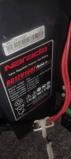 2 Narada 100 ampere batteries