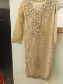Lightly Used Party Wear Embroidered Dress – Golden Nude Color