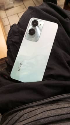 vivo