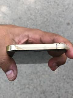 Iphone 12 pro max dual pta