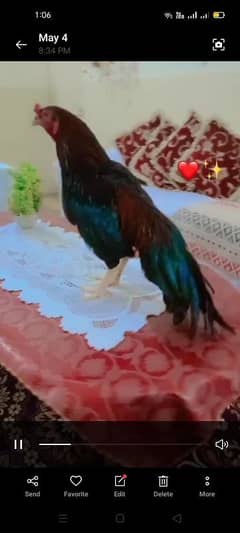 for