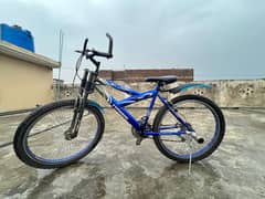 “Tides and Tires: The Journey of a Used Bike”