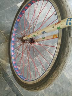 whellar cycle