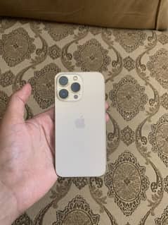 iPhone 13 pro