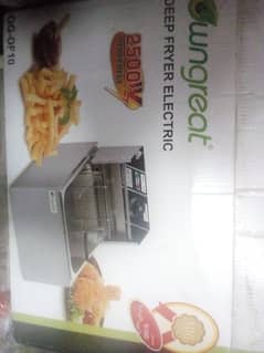 Deep electric fryer