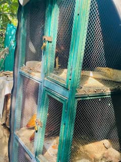 Hens cage for sale in 10/10 condition