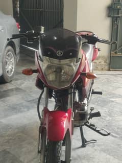 Yamaha YBR 15 model