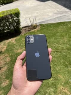 iPhone 11 Under Apple Warranty